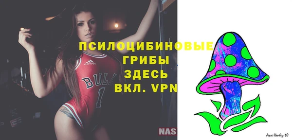 мдпв Балахна